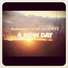 Audessey & ACatCalledFritz - A New Day (from SSR-040 Beats Per Minute EP)