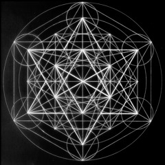 HOLOSPHERE 2014