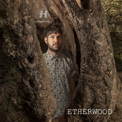 Etherwood - Begin By Letting Go