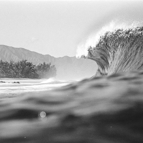 Martin Roth - Epic Waves | PREVIEW