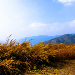 นั่งฟังเพลง