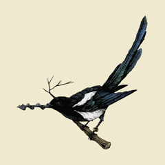 The Sneaky Western - The Kirkland Turn