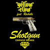 Yellow Claw ft. Rochelle - Shotgun (DMNDZ Remix)