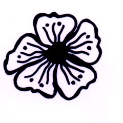 Goodbye Beacon Hill, Hello Misfortune.