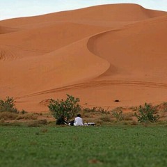 شيلة الشاعر اليا دكة الهاجوس