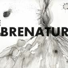 MORRIS- SobrenaturalNEW