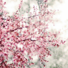 Tom Le Grand --- Berlin Postcast #4