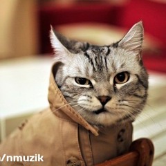 Martin Garrix Had A Farm