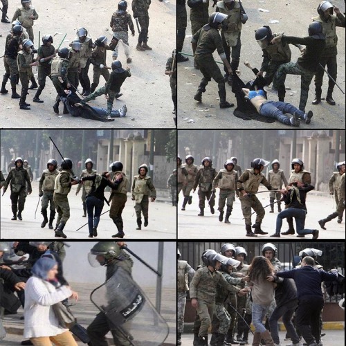 محمد محمود