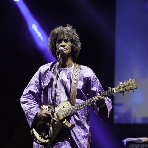 Tinariwen ASLER 2014