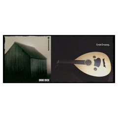 Rammstein - Ohne Dich & Oud Cover (by Ersin Ersavas)