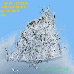 I Saw Clouds And Nobody Believed Me