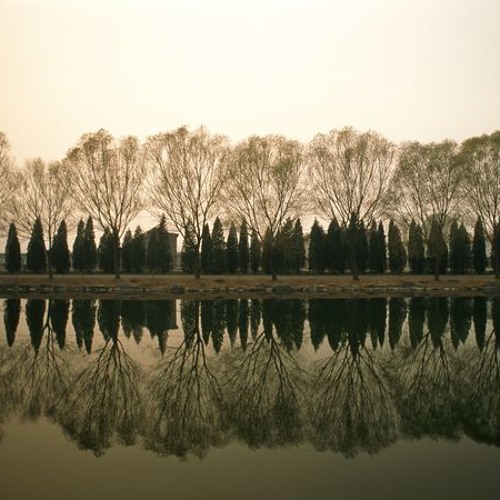 Reflections