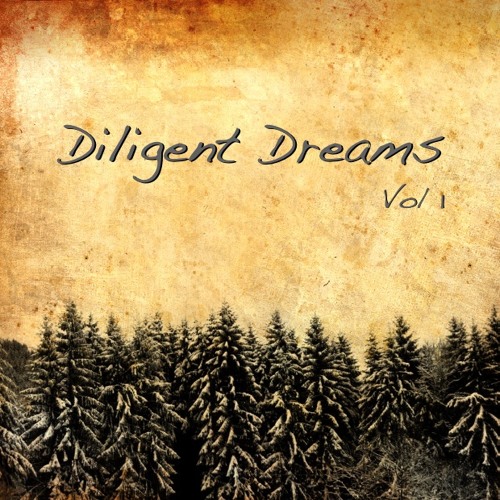 Diligent Dreams Vol 1