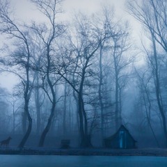 Hipnosis relaksasi with forest instrument