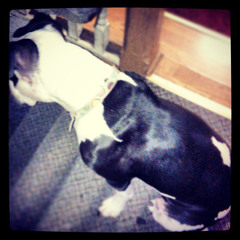 Zues- Love Me 2 Crazy