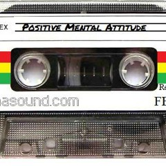 POSITIVE MENTAL ATTITUDE "JAMROCK" @ PEACHES YELLOW SPRINGS, OH 11.22.13