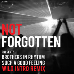 Brothers in Rhythm - Such a good feeling - Wild Intro Remix