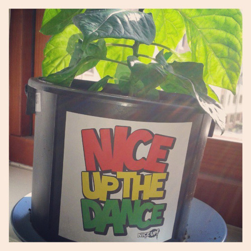 Dread Kenedy X RobertLee - Dis Respect [Remix]