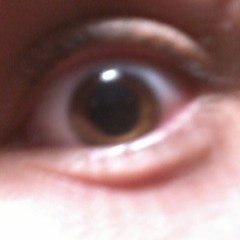 La vida loca (Soue1, OneDemonBlack)