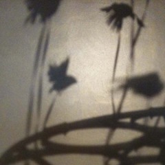 Tweet like a pro with Binita Walia