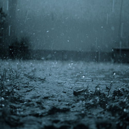 Petrichor
