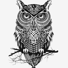 Arctic Zen - Latenight Owl