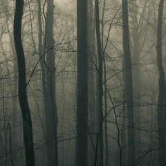 Dream from another life