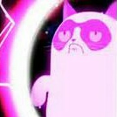Animeme rap battles-grumpy cat vs Nyman cat