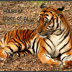 HABI M - Tiger Of Pi (feat. Mychael Danna)