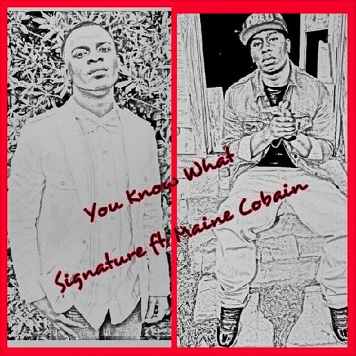 You Know What - Signature Ft Maine Cobain