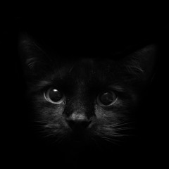 Phoebe Mills - Tech House & Deep #2