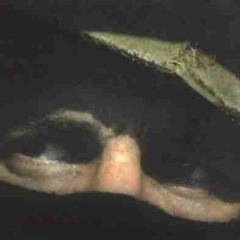 Carta a La Magdalena / La Familia, La Propiedad Privada Y El Amor - SubMarcos & Silvio