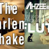 Harlem Shake Vs New World Sound & Thomas Newson ( Dj Mike mashup)