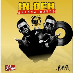 Shabba Ranks - In Deh (99% Riddim) [RNG]
