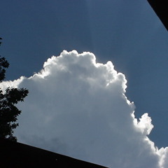 Ok I See