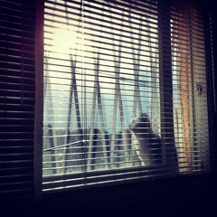 Sweetness Follows (R.E.M Cover)