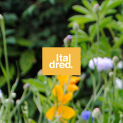 Push. | Italdred 'The Beginning' Compilation |