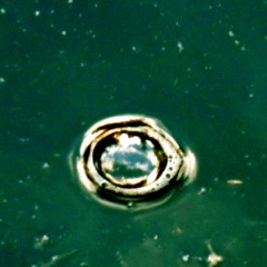 In The Light Of Something Far Away