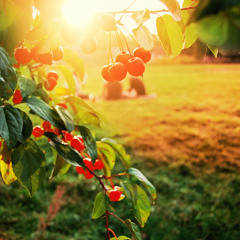 Весна не приходит одна