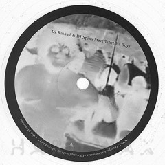 RASHAD AND SPINN MEET TSHETSHA BOYS - PHOTONZ 33 1/3 REFIX