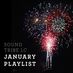 Monthly Playlist (Jan. 2014)