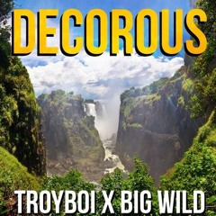 Decorous by TroyBoi ✖ Big Wild