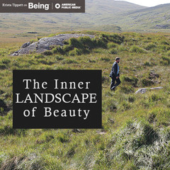 John O'Donohue — The Inner Landscape of Beauty (Jan 26, 2012)