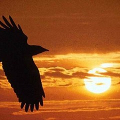 Outstretched by Alice Hacker