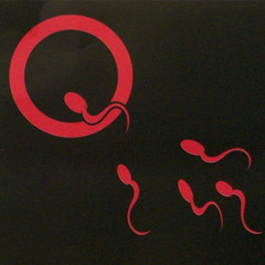 QOTSA