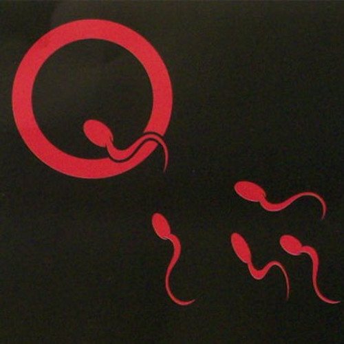 Queens of the Stone Age - Live Jam with Dave Grohl (San Francisco 2002)