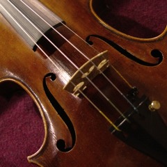 Orchestral/Instrumental/Rock