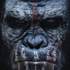 Smoke Signals ft Surreal