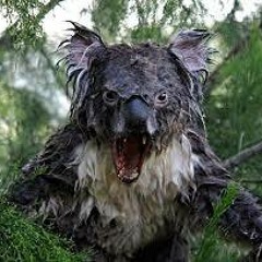 Steak Sauce Cailloux